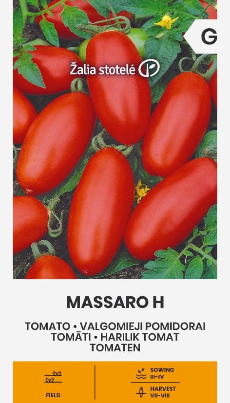 VALGOMIEJI POMIDORAI MASSARO H