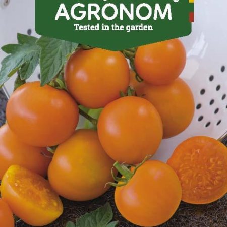 VALGOMIEJI POMIDORAI ORANŽE