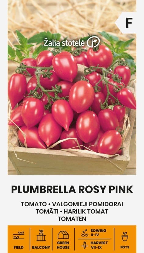 VALGOMIEJI POMIDORAI PLUMBRELLA ROSY PINK