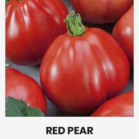VALGOMIEJI POMIDORAI RED PEAR