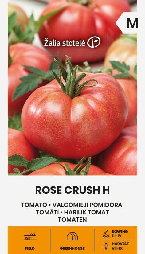 VALGOMIEJI POMIDORAI ROSE CRUSH H