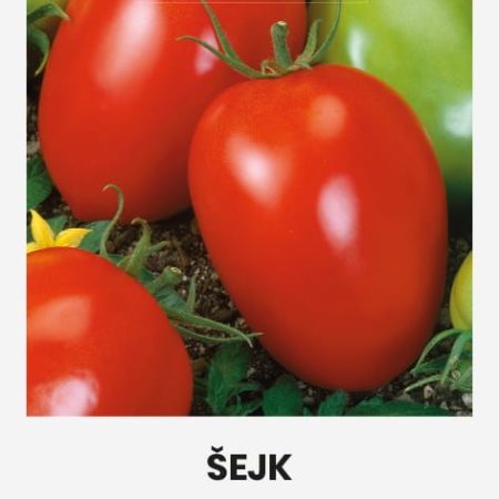 VALGOMIEJI POMIDORAI ŠEJK