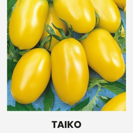 VALGOMIEJI POMIDORAI TAIKO
