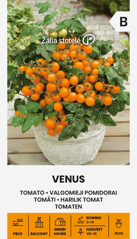 VALGOMIEJI POMIDORAI VENUS