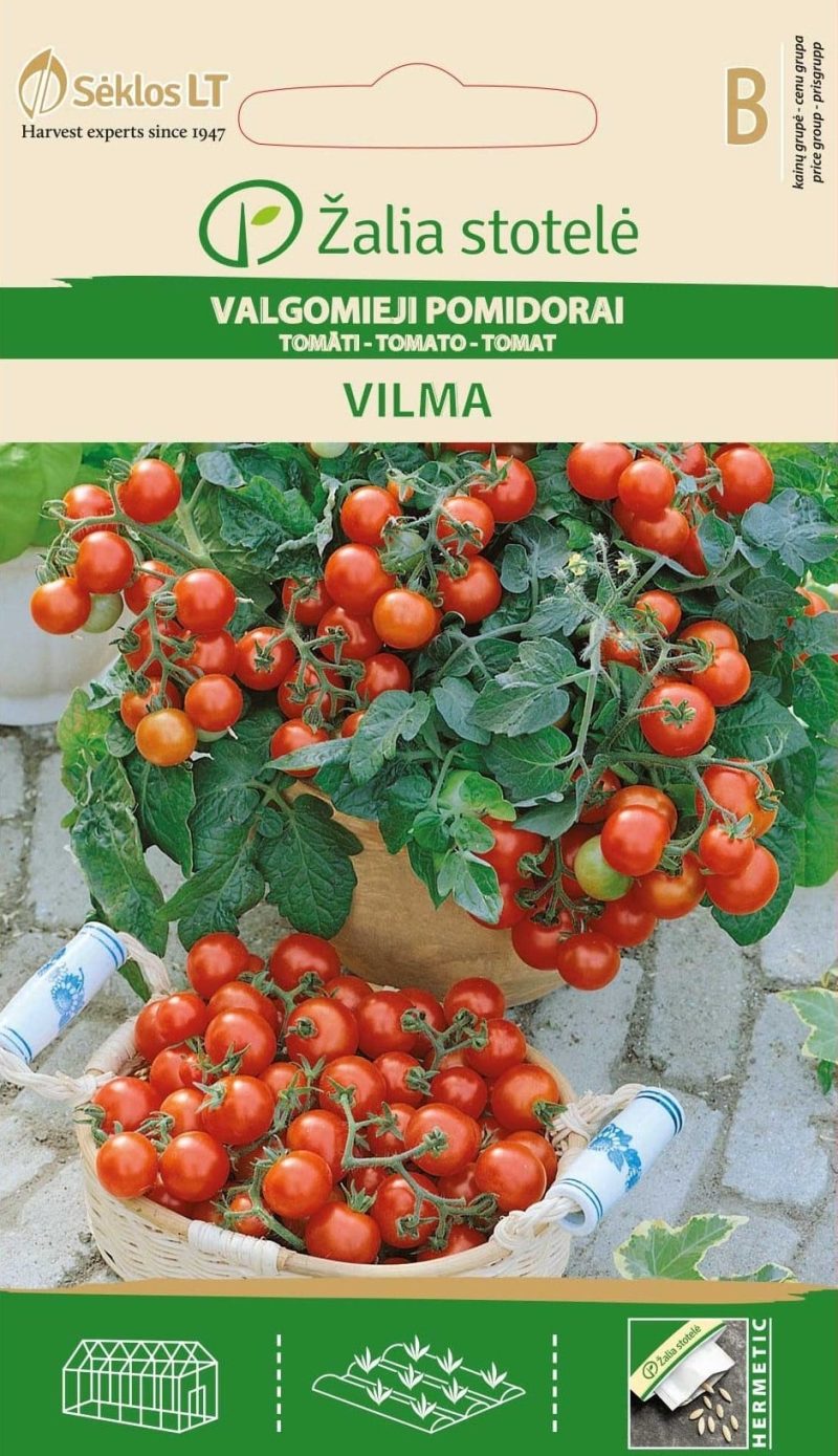 VALGOMIEJI POMIDORAI VILMA - Image 2
