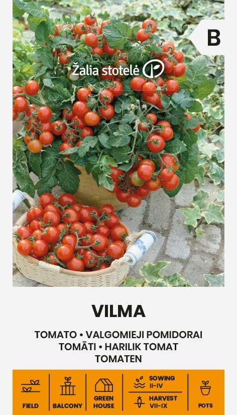 VALGOMIEJI POMIDORAI VILMA