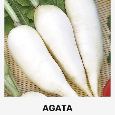 VALGOMIEJI RIDIKAI AGATA