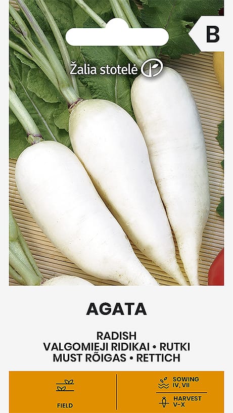 VALGOMIEJI RIDIKAI AGATA