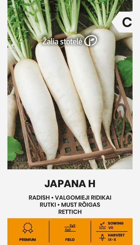 VALGOMIEJI RIDIKAI JAPANA H