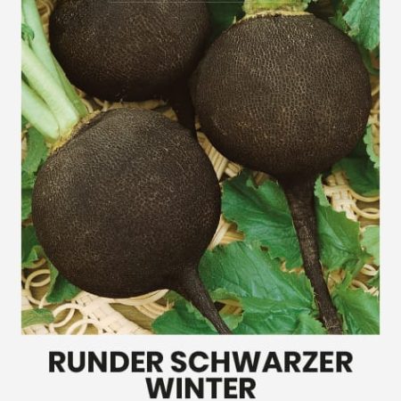 VALGOMIEJI RIDIKAI RUNDER SWARZER WINTER