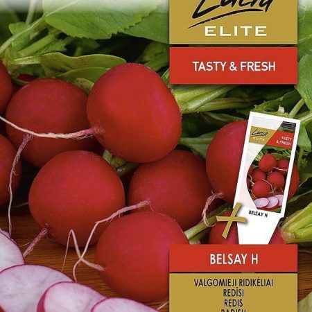 VALGOMIEJI RIDIKĖLIAI BELSAY H