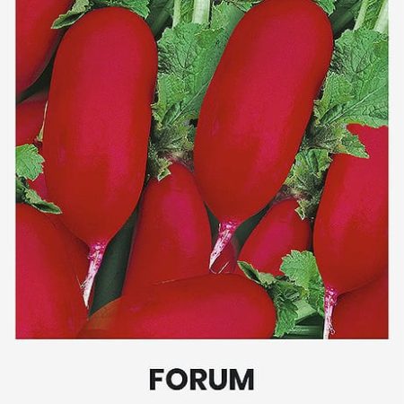 VALGOMIEJI RIDIKĖLIAI FORUM