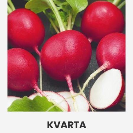 VALGOMIEJI RIDIKĖLIAI KVARTA