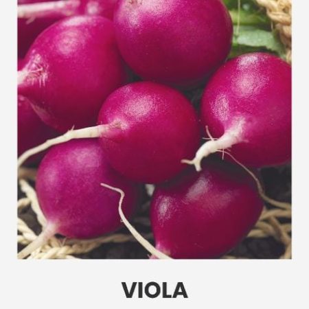 VALGOMIEJI RIDIKĖLIAI VIOLA