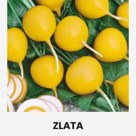 VALGOMIEJI RIDIKĖLIAI ZLATA