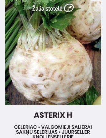 VALGOMIEJI SALIERAI ASTERIX H