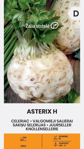 VALGOMIEJI SALIERAI ASTERIX H