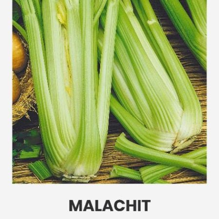 VALGOMIEJI SALIERAI MALACHIT