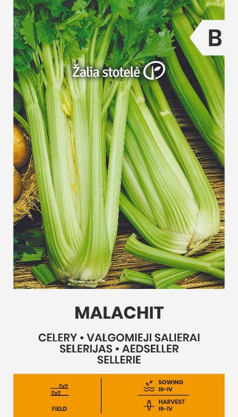 VALGOMIEJI SALIERAI MALACHIT