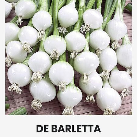 VALGOMIEJI SVOGŪNAI DE BARLETTA