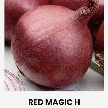 VALGOMIEJI SVOGŪNAI RED MAGIC H