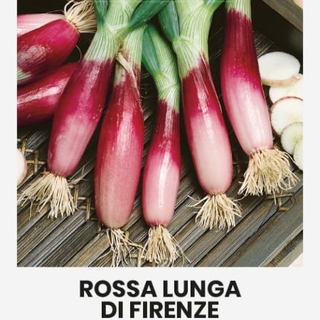VALGOMIEJI SVOGŪNAI ROSSA LUNGA DI FIRENZE