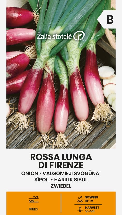 VALGOMIEJI SVOGŪNAI ROSSA LUNGA DI FIRENZE