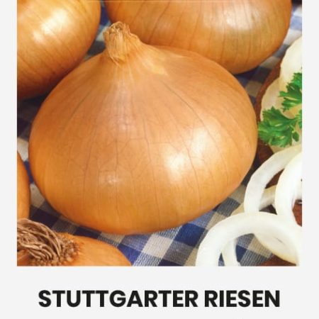 VALGOMIEJI SVOGŪNAI STUTTGARTER RIESEN