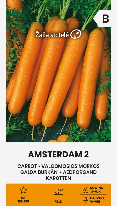 VALGOMOSIOS MORKOS AMSTERDAM 2
