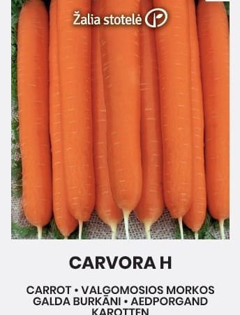 VALGOMOSIOS MORKOS CARVORA H