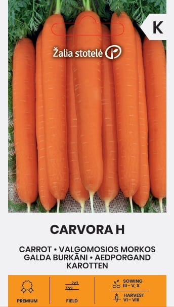 VALGOMOSIOS MORKOS CARVORA H