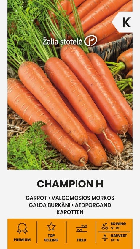VALGOMOSIOS MORKOS CHAMPION H