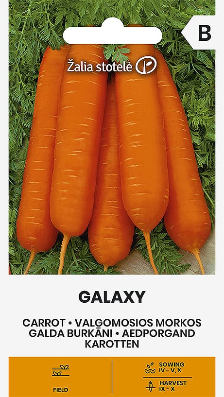 VALGOMOSIOS MORKOS GALAXY