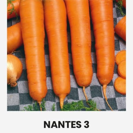 VALGOMOSIOS MORKOS NANTES 3