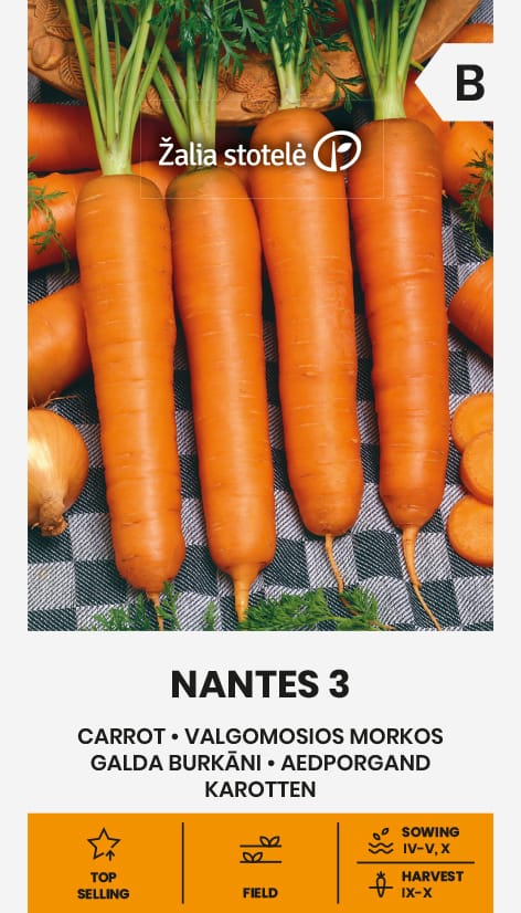VALGOMOSIOS MORKOS NANTES 3