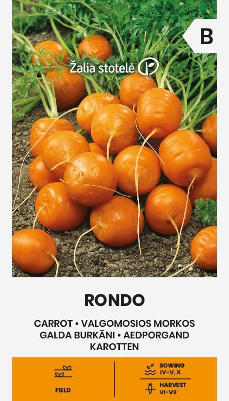 VALGOMOSIOS MORKOS RONDO
