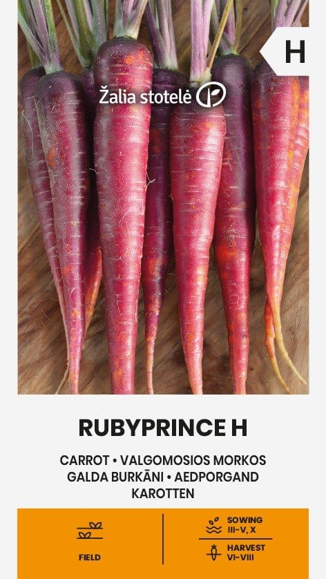 VALGOMOSIOS MORKOS RUBYPRINCE H