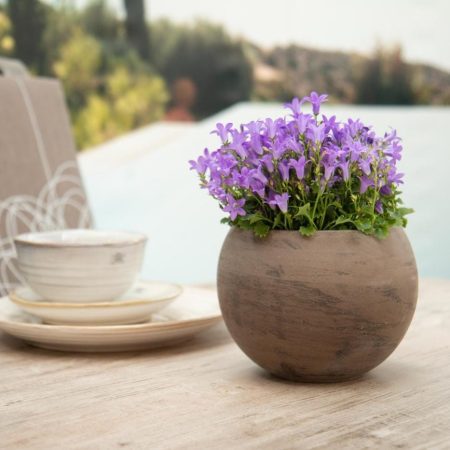 VAZONAS LAUKO LUNA D26H19 057-026-26 RUSVA