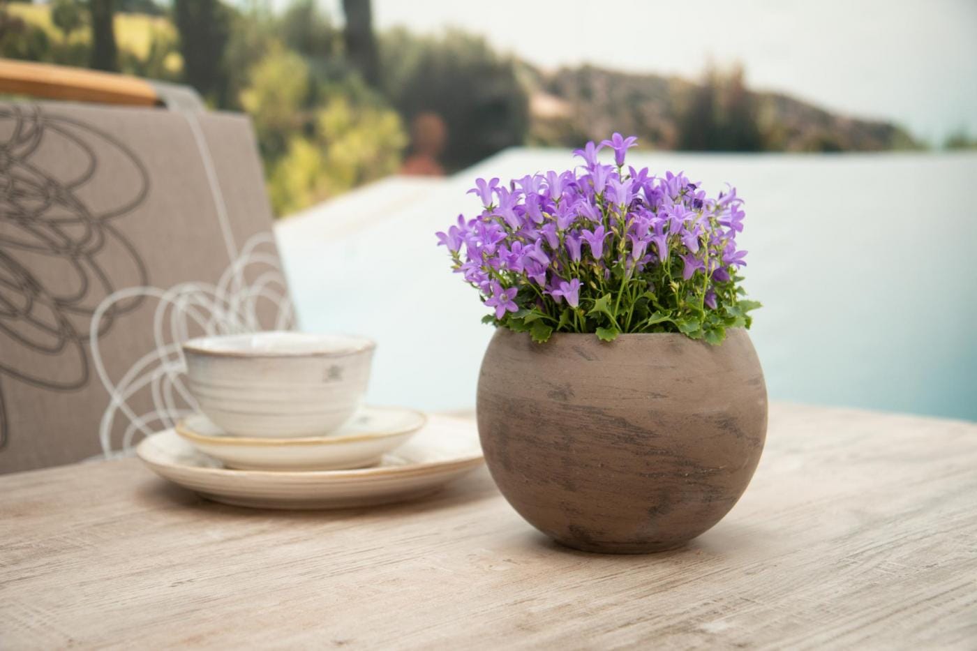 VAZONAS LAUKO LUNA RUDAS D37H28