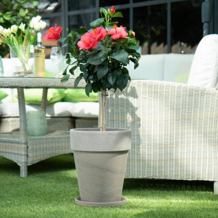 VAZONAS LAUKO XL D31H37 143-025-31PILKAS