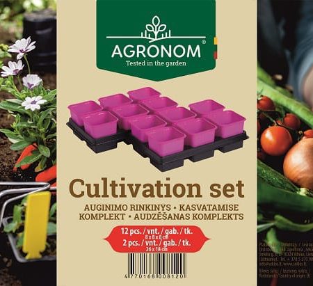 VAZONĖLIAI 12VNT 8CM 800506 RAUSVI