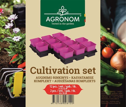 VAZONĖLIAI 12VNT 8CM 800506 RAUSVI