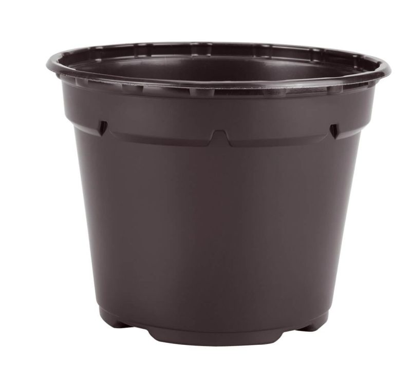 VAZONĖLIS DAIGAMS 19 CM JUODAS