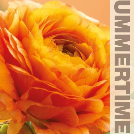 VĖDRYNAI ORANGE