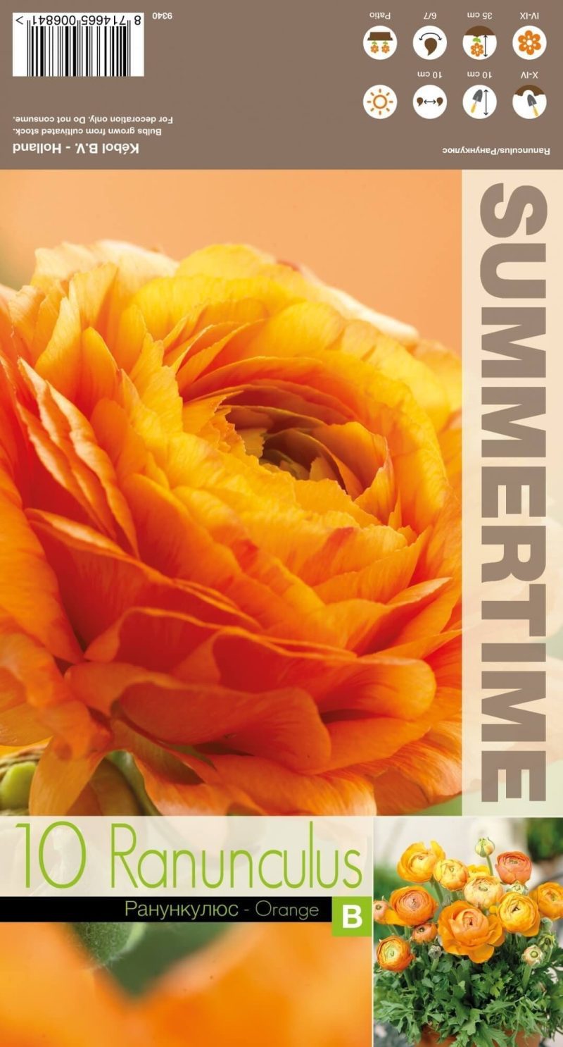 VĖDRYNAI ORANGE