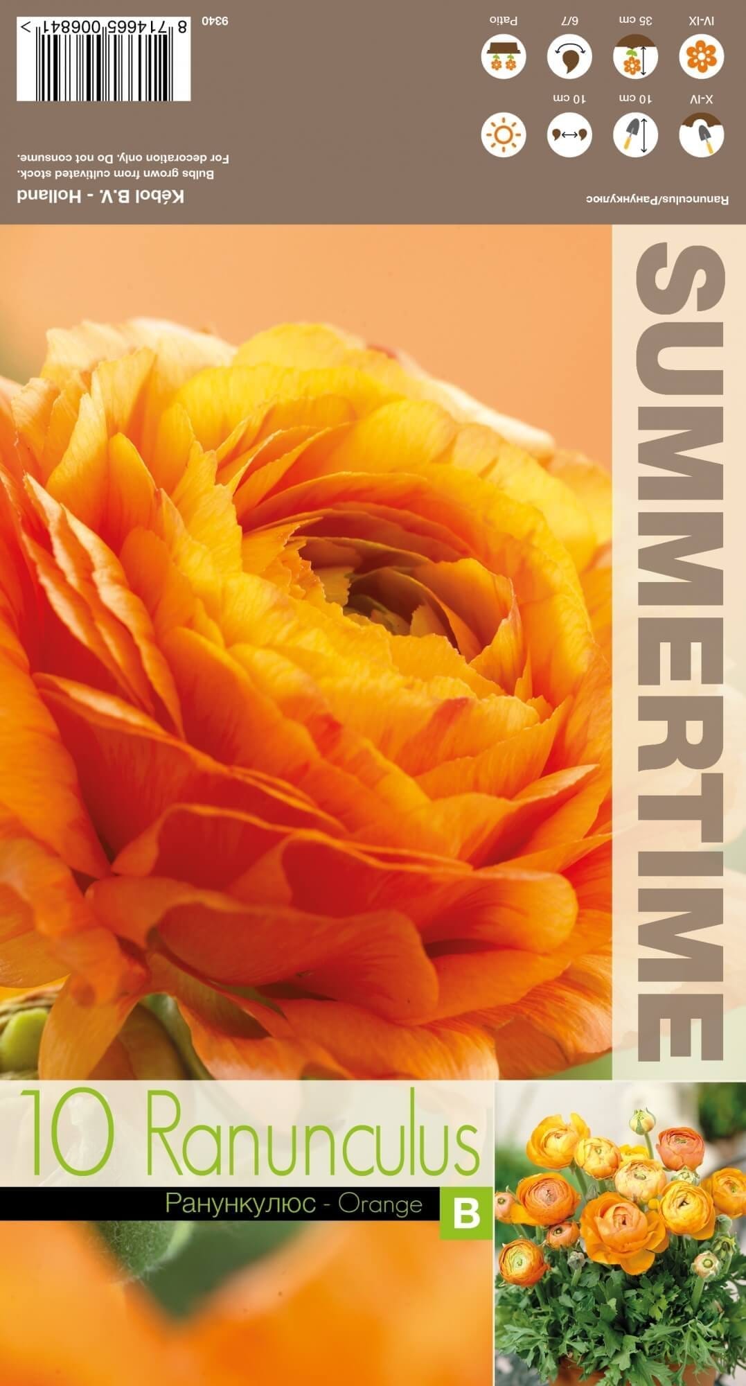 VĖDRYNAI ORANGE