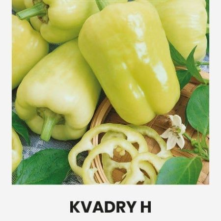 VIENAMETĖS PAPRIKOS KVADRY H
