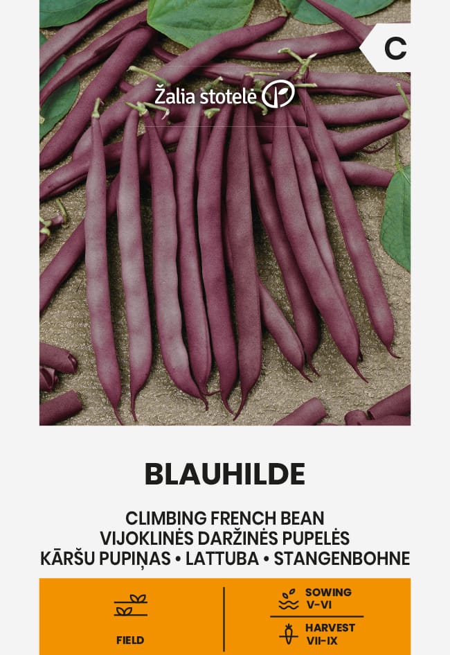 VIJOKLINĖS PUPELĖS BLAUHILDE