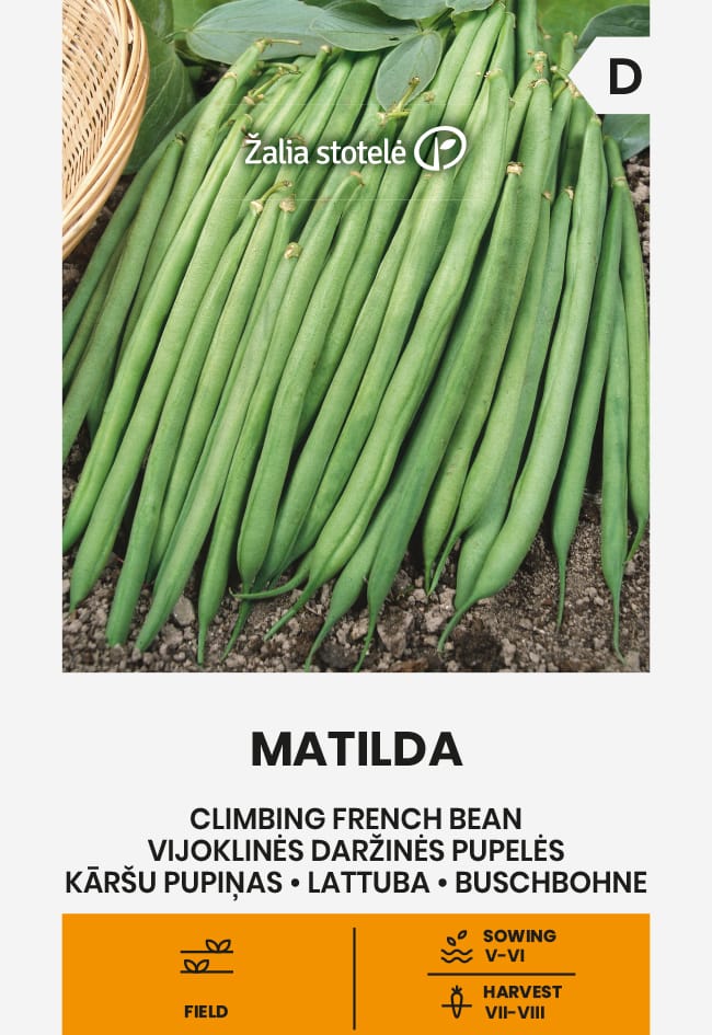 VIJOKLINĖS PUPELĖS MATILDA