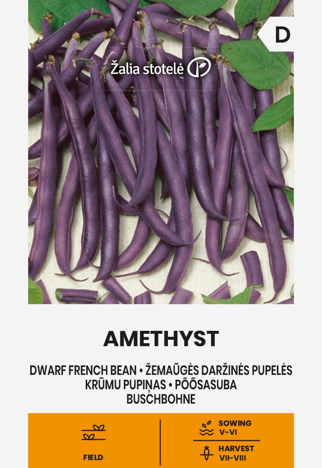ŽEMAŪGĖS DARŽINĖS PUPELĖS AMETHYST